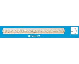 NT30-TV