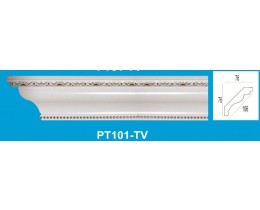 PT101-TV