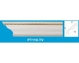 PT110-TV