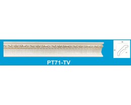 PT71-TV