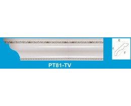 PT81-TV