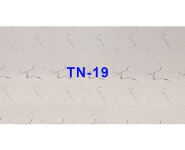 Tấm nhựa vân đá TN-19