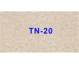 Tấm nhựa vân đá TN-20