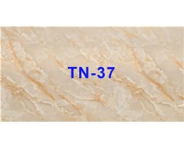 Tấm nhựa vân đá TN-37