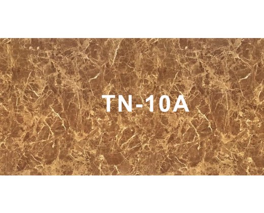 Tấm nhựa vân đá TN-10A