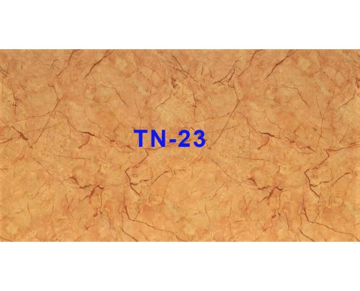 Tấm nhựa vân đá TN-23