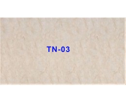 Tấm nhựa vân đá TN-03