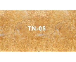 Tấm nhựa vân đá TN-05