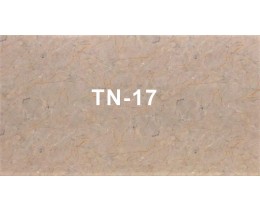 Tấm nhựa vân đá TN-17
