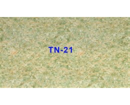 Tấm nhựa vân đá TN-21