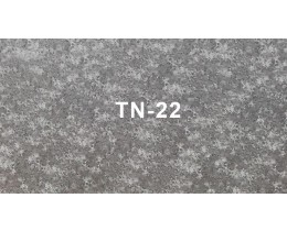Tấm nhựa vân đá TN-22
