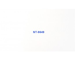 Tấm nhựa vân đá TN-9649